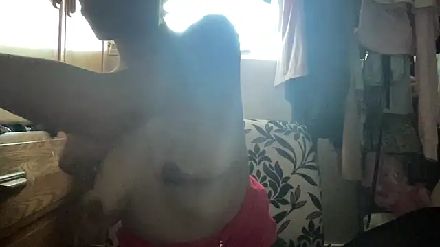 myloveforyouu online show from 06-09-26, 01:45