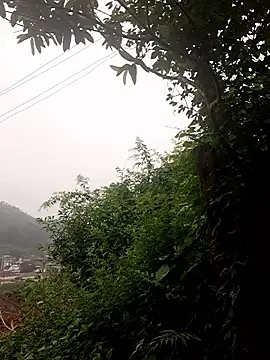 lustforlife9622 online show from 12-03-25, 04:09