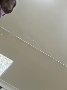 Off the Lesh online show from 03-02-26, 03:52