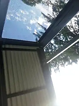 Off the Lesh online show from 03-31-26, 04:24