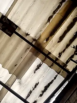 weedmanhot28 online show from 11-02-25, 12:51