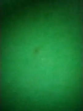 Zane Natha online show from 11-10-25, 12:53