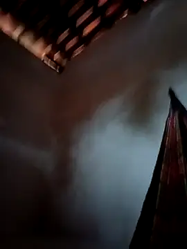 PIKAdePAU27 online show from 12-24-24, 08:33