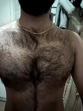 Snapshot of hairy_gun chatting on 01-27-25, 05:37 hairy gun online show from 01-27-25, 05:37