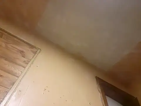 Snapshot of BigDDave6979 chatting on 03-13-25, 07:42 BigDDave6979 online show from 03-13-25, 07:42