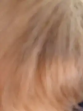 Unforgettable ket online show from 01-15-25, 04:54