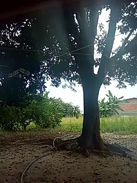 natally ross21 online show from 02-09-26, 01:26