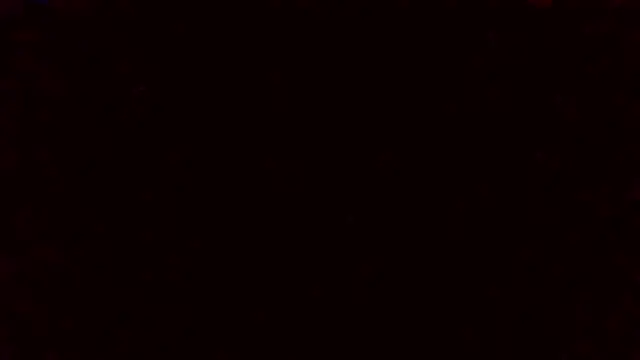 Tinny and Candy online show from 01-22-25, 11:32