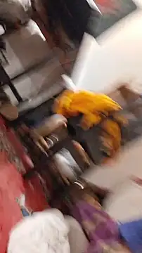 Snapshot of emma_neko chatting on 11-22-25, 06:40 emma neko online show from 11-22-25, 06:40