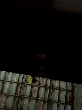 Snapshot of dantaradinho chatting on 01-31-25, 04:47 dantaradinho online show from 01-31-25, 04:47