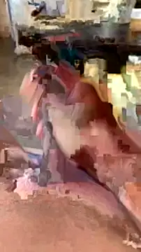 elber-gdo online show from 02-05-25, 10:55