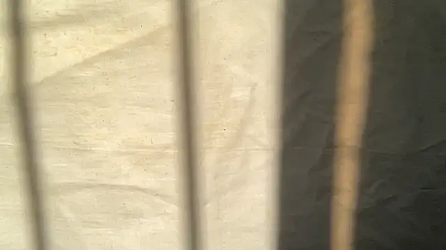 beforeyou69 online show from 11-06-25, 08:04