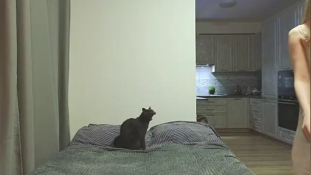 Snapshot of VikiSea chatting on 03-14-25, 01:57 VikiSea online show from 03-14-25, 01:57