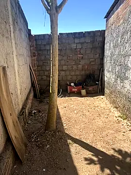 king cum  online show from 11-05-25, 12:05