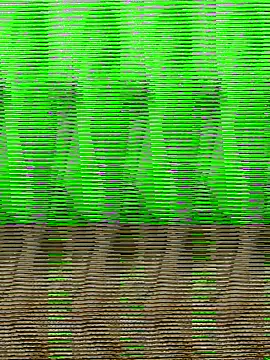 HimiJim online show from 11-10-25, 11:42