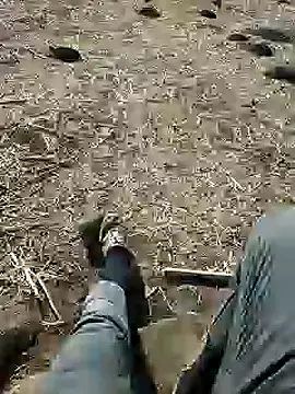 Snapshot of murokkk31 chatting on 12-03-24, 08:38 murokkk31 online show from 12-03-24, 08:38