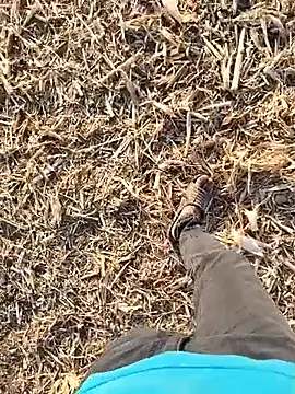 Snapshot of murokkk31 chatting on 09-30-25, 01:49 murokkk31 online show from 09-30-25, 01:49