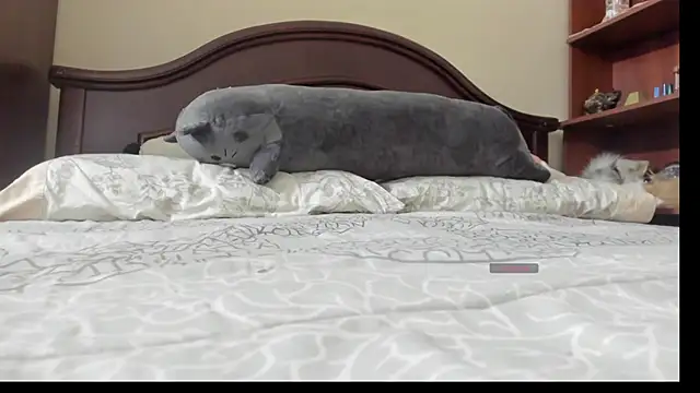 Snapshot of linnie_ chatting on 02-02-26, 02:32 linnie online show from 02-02-26, 02:32