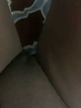 WyvaxxNikkie online show from 01-23-25, 05:31