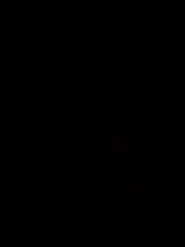 Ory22 online show from 11-01-25, 04:42