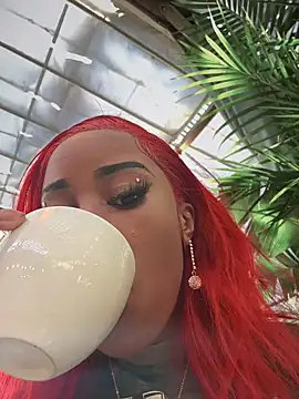 Snapshot of Dime-__ chatting on 01-20-25, 04:45 Dime- online show from 01-20-25, 04:45