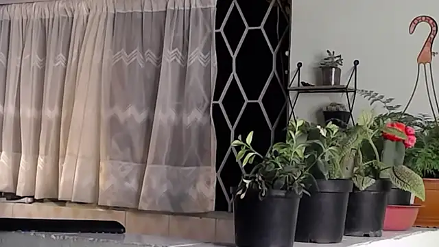 peyton golden1 online show from 01-16-25, 06:35