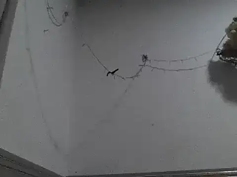 Snapshot of pedrodavid_ chatting on 12-08-24, 12:18 pedrodavid online show from 12-08-24, 12:18