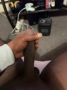 Cameltoekilla online show from 02-12-26, 12:00