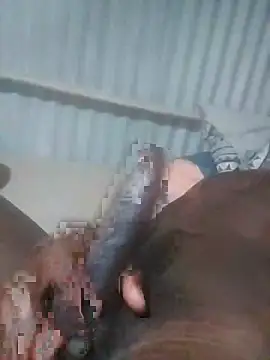 Snapshot of advocate2 chatting on 11-08-25, 06:13 advocate2 online show from 11-08-25, 06:13