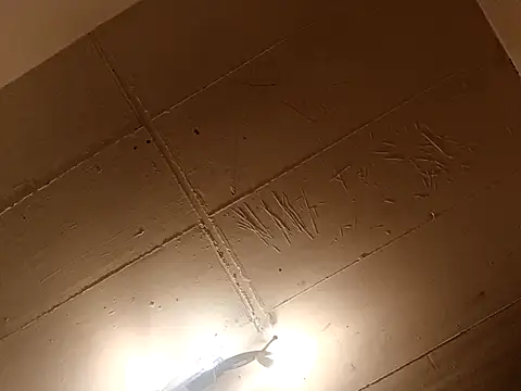 Timbojan28 online show from 03-27-26, 11:48