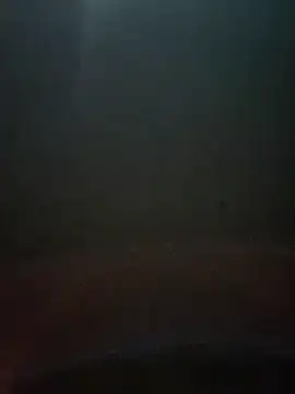 cumshotboy01 online show from 12-16-24, 03:54