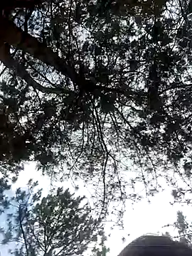 Sofia xx2 online show from 02-27-25, 08:50