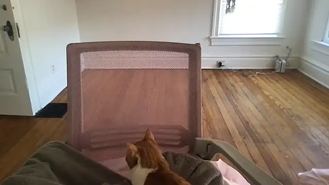 loveofbea online show from 03-04-26, 10:05