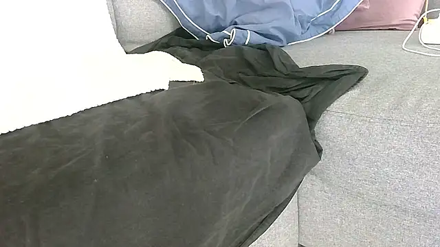 petardroutier online show from 01-12-26, 09:25