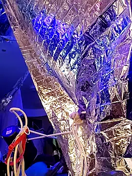 gurlnips online show from 03-21-25, 11:33