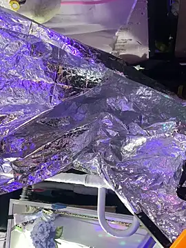 gurlnips online show from 10-08-25, 06:05