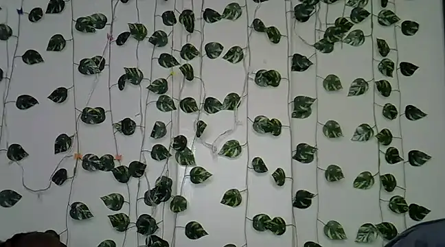 sexybree  online show from 01-23-25, 05:10