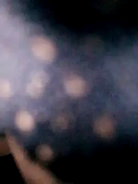 Hotpussy3ox online show from 09-18-25, 08:05