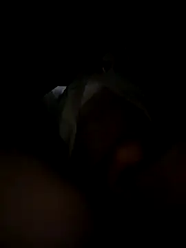 toysonly online show from 12-02-25, 11:34