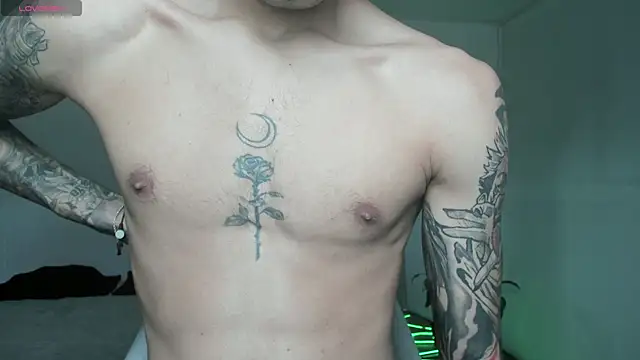 Damon  333 online show from 04-13-26, 06:02