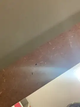 smithrosinha online show from 09-19-25, 05:24