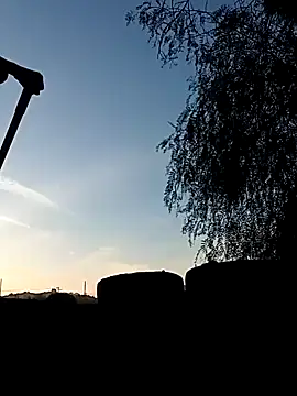 Snapshot of luke_thighwalker2469 chatting on 12-31-24, 12:11 luke thighwalker2469 online show from 12-31-24, 12:11