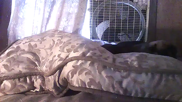 luke thighwalker2469 online show from 04-20-26, 04:10