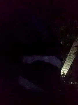 mis312 online show from 11-18-25, 06:40