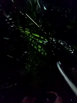 mis312 online show from 01-08-26, 05:10