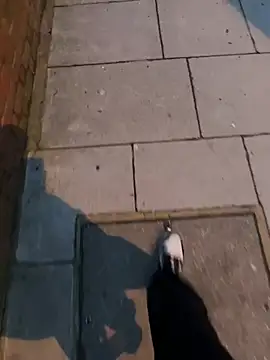 XMenX24 online show from 03-22-25, 06:36