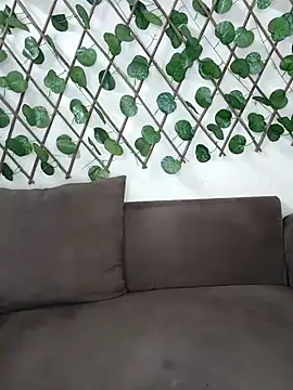 Bold-Cat online show from 11-17-25, 04:46