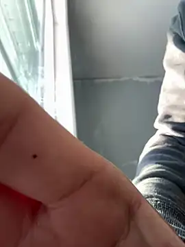 SmokingSloth online show from 01-06-25, 09:22