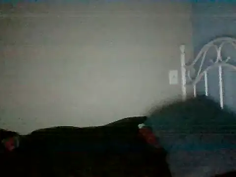 SmokingSloth online show from 03-16-25, 05:14