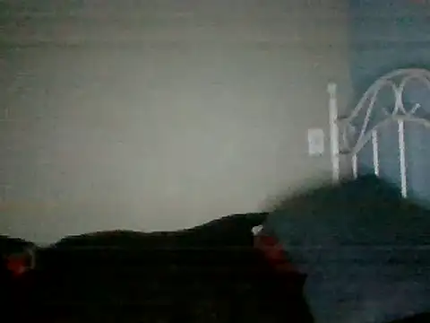 SmokingSloth online show from 03-16-25, 08:21